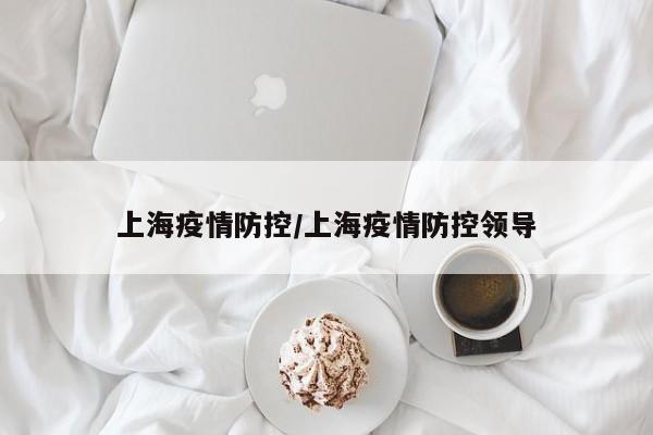 上海疫情防控/上海疫情防控领导