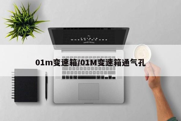01m变速箱/01M变速箱通气孔