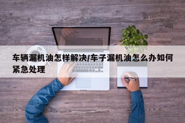 车辆漏机油怎样解决/车子漏机油怎么办如何紧急处理