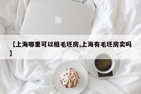 【上海哪里可以租毛坯房,上海有毛坯房卖吗】
