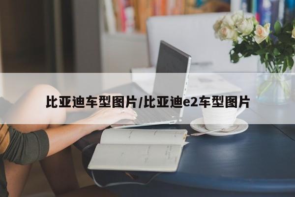 比亚迪车型图片/比亚迪e2车型图片