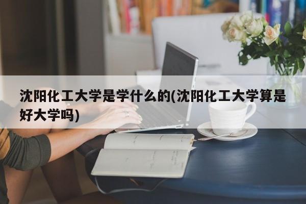 沈阳化工大学是学什么的(沈阳化工大学算是好大学吗)